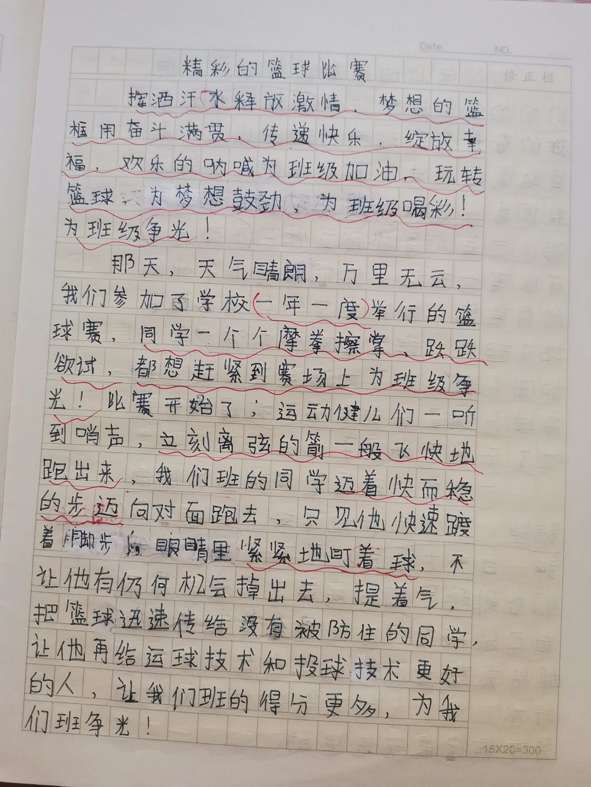 篮球训练感想200字
